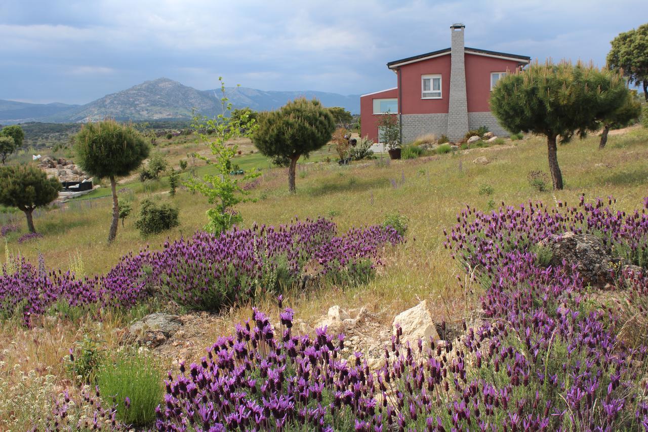 Finca El Enebro Valdemorillo Exterior photo